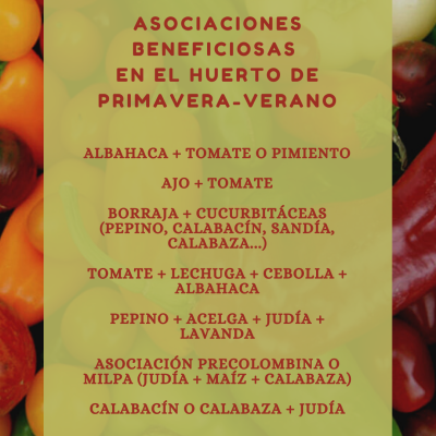 ASOCIACIONES BENEFICIOSAS HUERTO PRIMAVERA-VERANO