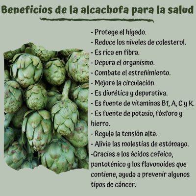 BENEFICIOS DE LA ALCACHOFA PARA LA SALUD