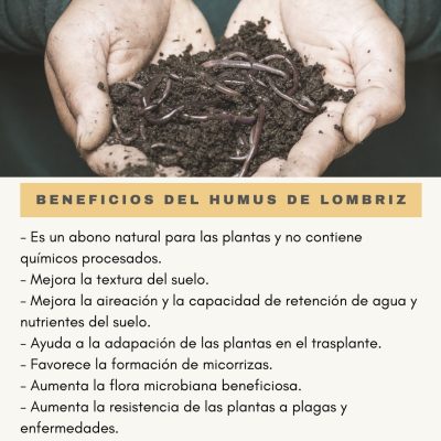 BENEFICIOS DEL HUMUS DE LOMBRIZ