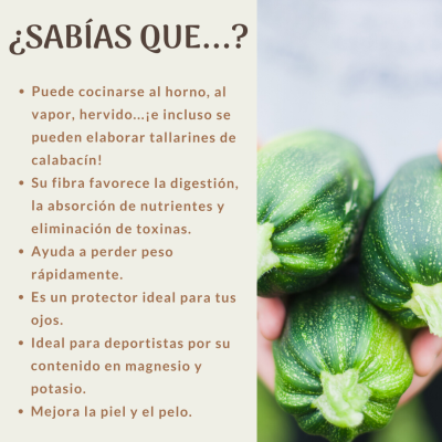 CURIOSIDADES DEL CALABACÍN