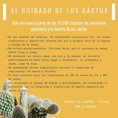 EL CUIDADO DE LOS CÁCTUS