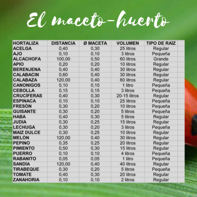 EL MACETO HUERTO