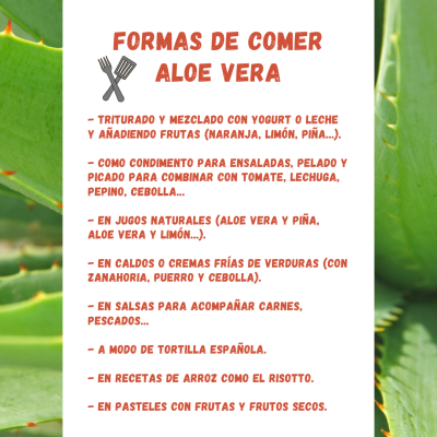 FORMAS DE COMER ALOE VERA
