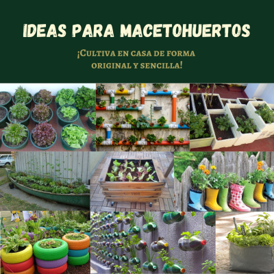 IDEAS PARA MACETO HUERTOS