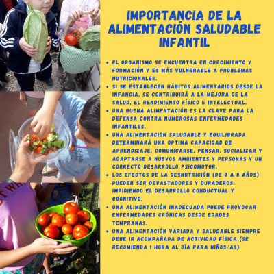 IMPORTANCIA DE LA ALIMENTACIÓN SALUDABLE INFANTIL