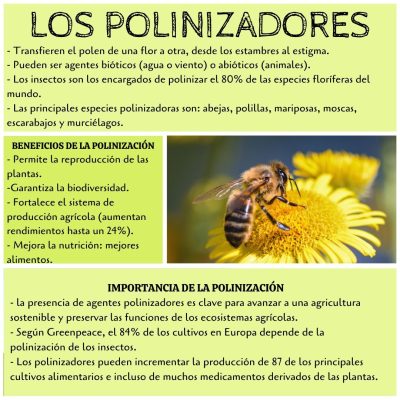 LOS POLINIZADORES