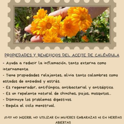 PROPIEDADES Y BENEFICIOS DEL ACEITE DE CALÉNDULA
