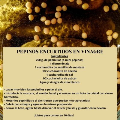 RECETA PEPINILLOS ENCURTIDOS