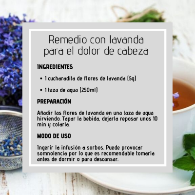 REMEDIO CON LAVANDA PARA EL DOLOR DE CABEZA