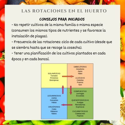 las rotaciones en el huerto